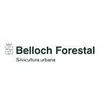 Belloch-Forestal