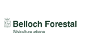 Belloch-Forestal