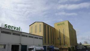 locales de la empresa serval
