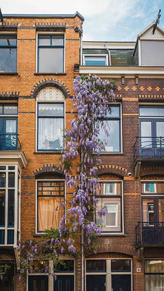 edificio-flandes-oriental