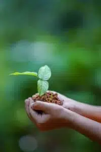 mantenimiento y protección del medio ambiente