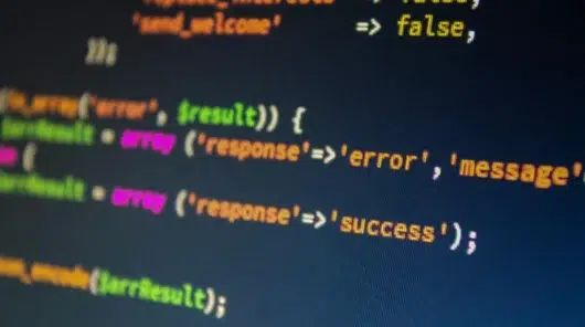 Shallow depth of field shot of clean data script lines on a screen showing a validated success status during a system data migration phase.